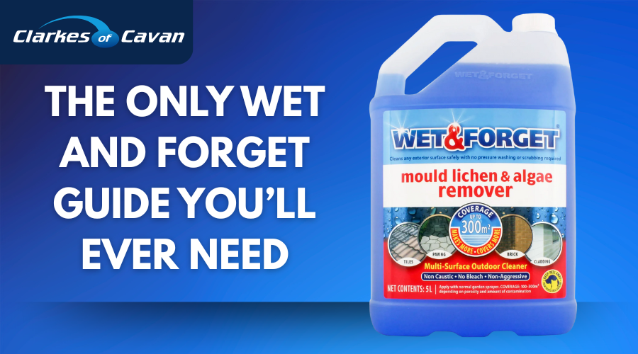 The Only Wet and Forget Guide You’ll Ever Need